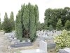 vu cimetière de Thiais
