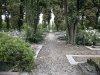 allée cimetière de Thiais
