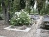 vu allée cimetière de Thiais