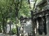 arbres cimetière montmartre