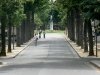 allée cimetiere montparnasse