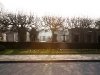 arbres cimetiere montparnasse