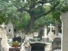 cimetiere montparnasse