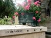 Tombes au Père Lachaise
