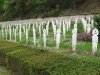 Parcelle dédiée au soldats musulmans