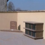 Topaze 6 cases