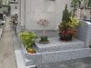 jardinière tombe arbustes