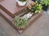 jardinière tombe orangée