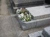 jardinière tombe fleurs des champs