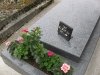 jardinière tombe rose