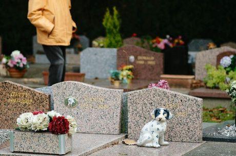 Cimetiere tombe chien