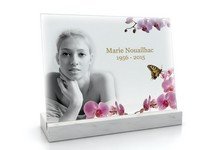 Vitro Souvenir