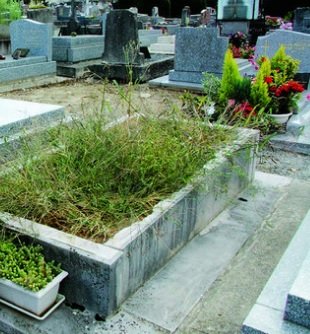 Vol insolite dans un cimetière