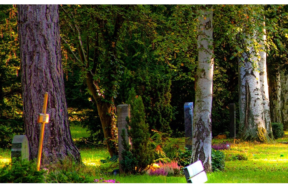Comment entretenir un cimetière en zéro phyto ?