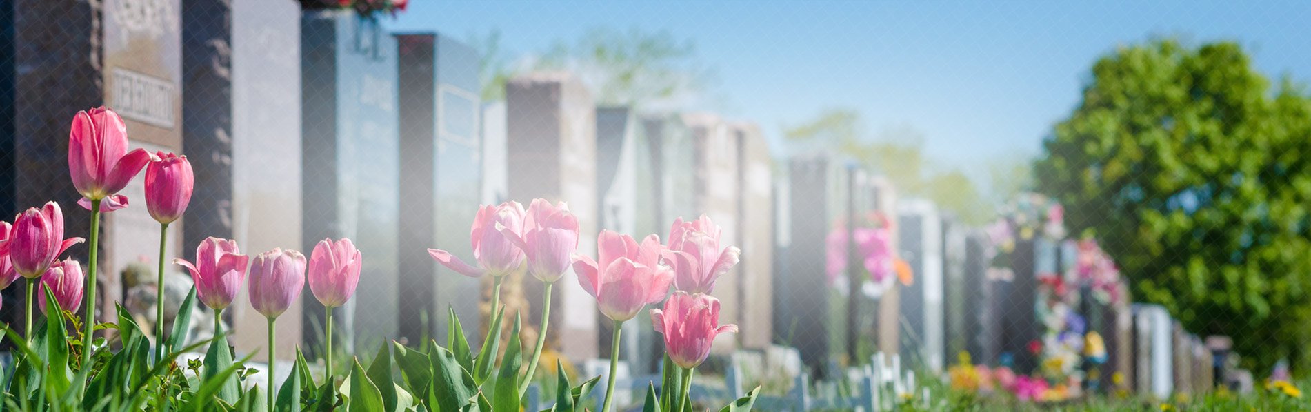 cimetiere fleurs