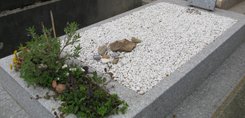 modele monument